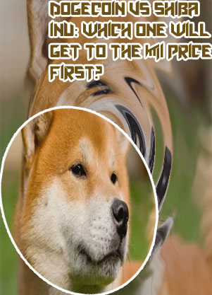 What is dogecoin worth