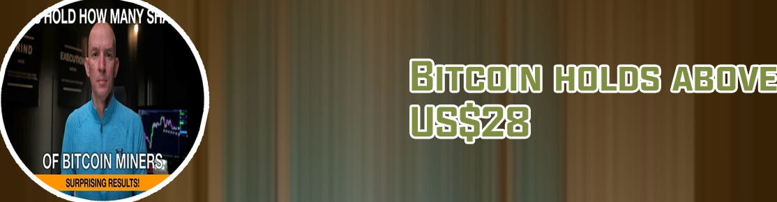 Who holds the most bitcoin